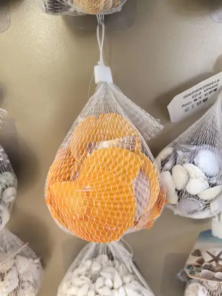 Creative gifts from conch shells and corals, large wind chimes, Marine scented candles, and fruit shell pendants Creative gifts from conch shells and corals, large wind chimes, Marine scented candles, and fruit shell pendants